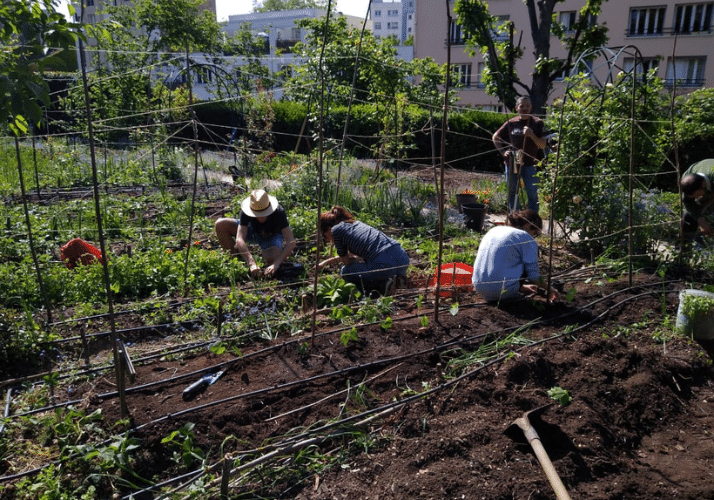 potager Vanves